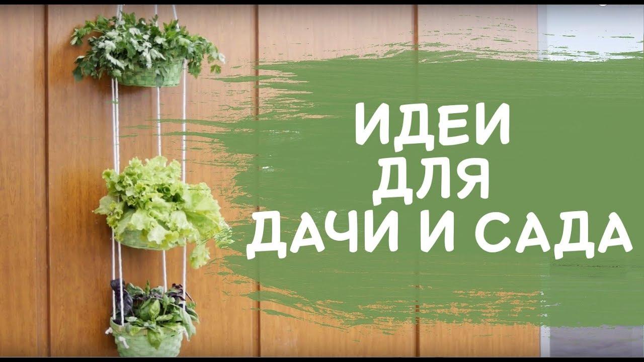 Идеи для дачи и сада [Идеи для жизни]