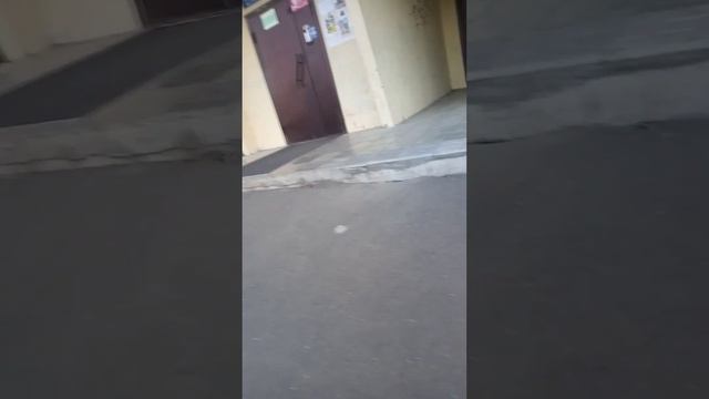 мем крути педали смотреть онлайн