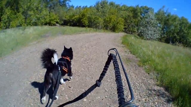 16.06.2018 (Action Camera) смотреть онлайн