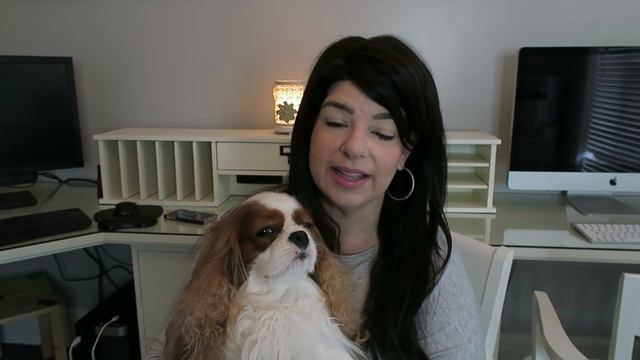 Cavalier King Charles Spaniels 101