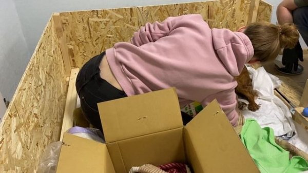 Роды Русский спаниель