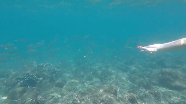 ''Тайны Океана'' by #лаунджблоггер смотреть онлайн