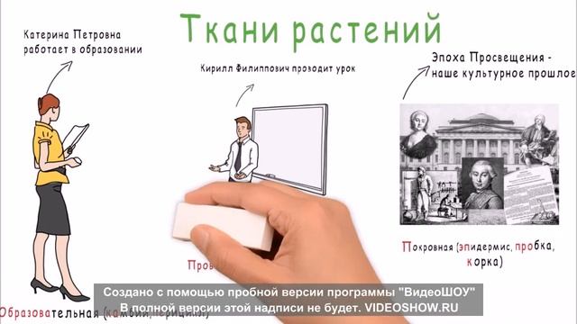 Ткани растений. Как запомнить типы тканей и относящиеся к ним виды | БИОЛОГИЯ ЦТ ЕГЭ смотреть онлайн
