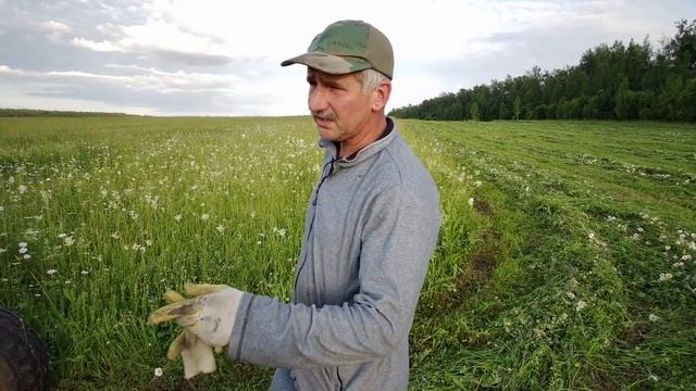 Косим траву перед дождем смотреть онлайн