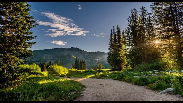 Yellow Rose of Berkeley- No Copyright Music - Free Music - Nhạc miễn phí Youtuber смотреть онлайн