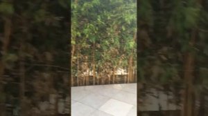 Отель Аквамарин! Абхазия топ!