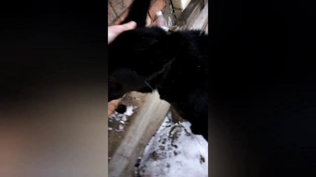 стреляю в старый ржавый замок с Hutson striker edge#замедленнаясъемка #ружьё #стрелец #зима #замок смотреть онлайн