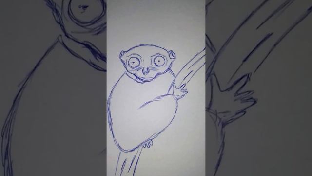 Посмотрите, какое животное смотреть онлайн