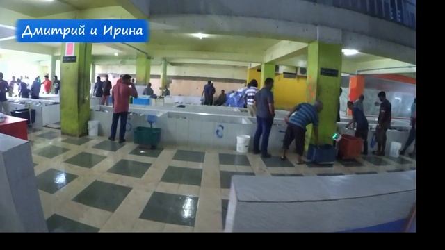 Космические Импульсы