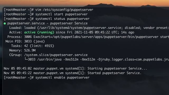 Puppet #2 - Installing Puppet server in Vagrant VM (CentOS8) смотреть онлайн