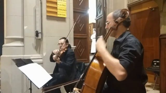 Gladiator - Violin & Cello смотреть онлайн