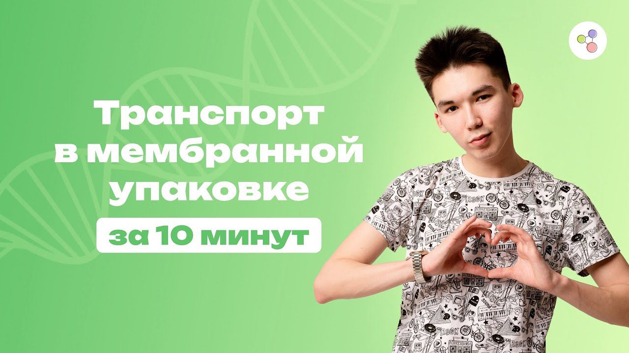 Транспорт в мембранной упаковке за 10 минут | Биология | ЕГЭ-2024 смотреть онлайн