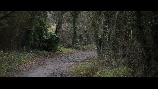 Мистер Дункан (mr Duncan English Learning) Урок 76