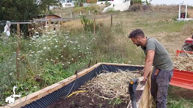 HOCHBEET BEWÄSSERUNG bauen: Automatisches Sprinklersystem & unterirdische Tropfsystem ??? смотреть онлайн