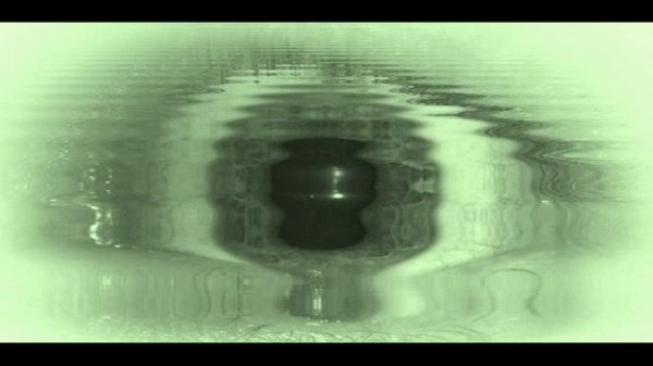 Alligator hardstyle Kokoteev Africa Magic Eye