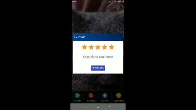 Приложение HD Обои Как создать приложение за 20 минут смотреть онлайн