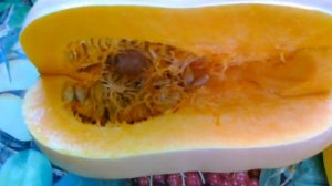 Тыква Матильда F1. Отзыв.