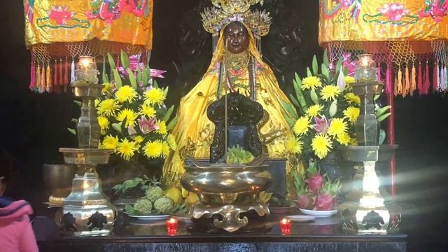 ?-Дневник перелетной птицы #21 «Нячанг».