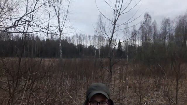 Охота на птицу!) (#14) Видели лося! Добыли птицу) 2 вальшнепа! смотреть онлайн