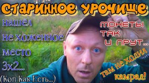 Старинное урочище.Нашёл не битое место,где полно монет!Коп-разведка металлоискателем.надо успеть...