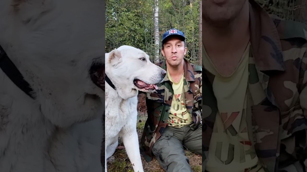 Вопросы от владельцев САО, выпуск 2 смотреть онлайн