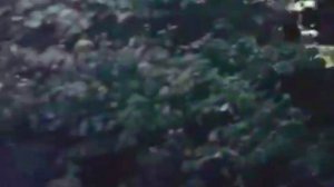 Сонет-прощай (cover Градский)🔥(памяти Градского)