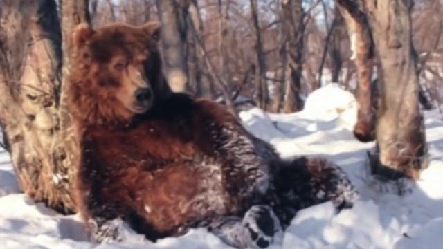 Виталий Аксенов - Подарки