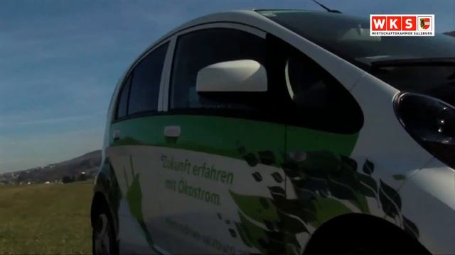 Salzburger Forum Für Elektromobilität