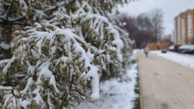 Google Pixel 7 против Googlre Pixel 8 / Арстайл / смотреть онлайн