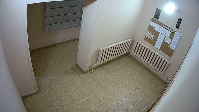 Купольная IP-камера AXI-M63IP пример записи смотреть онлайн