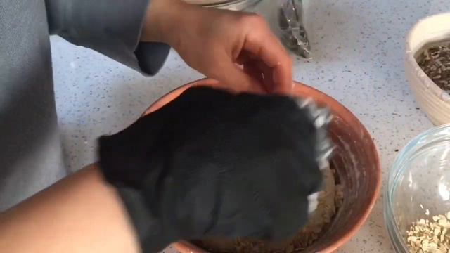 My most recent oats and seeds crusted doughs...the prep and the outcome... смотреть онлайн