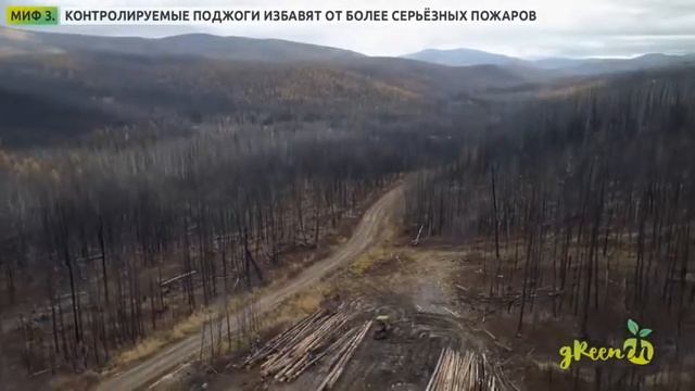 Насколько опасно жечь траву весной, и почему люди это делают смотреть онлайн