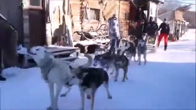 Зимние туры комбинированные