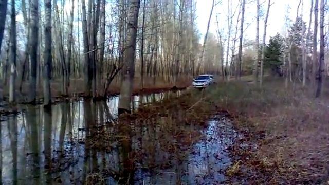 Hover гонит волну смотреть онлайн