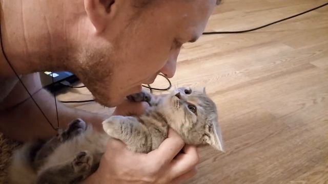 Лютая Дрессировка КОТА смотреть онлайн