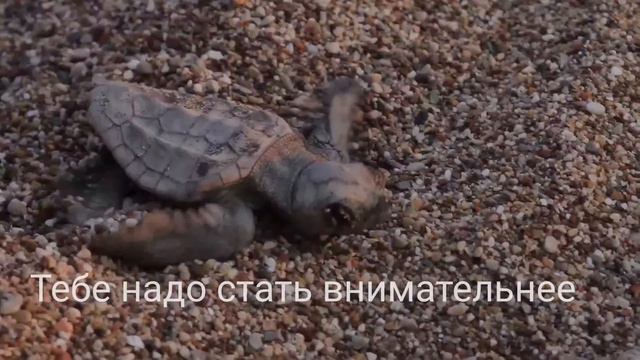 Ныряй На Глубину смотреть онлайн