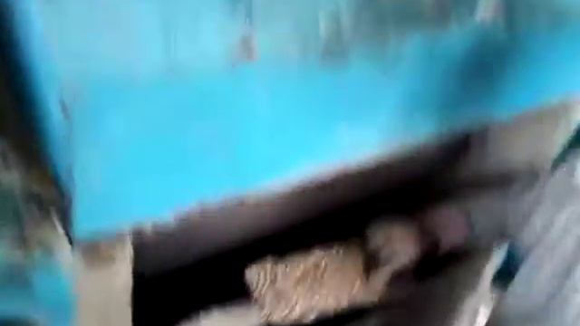 Производство крупы Геркулес(5) смотреть онлайн