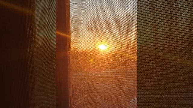 песня:проснись