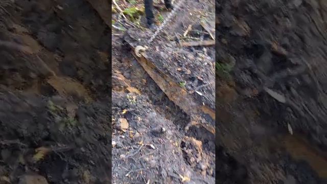 нашли деньги в земле смотреть онлайн