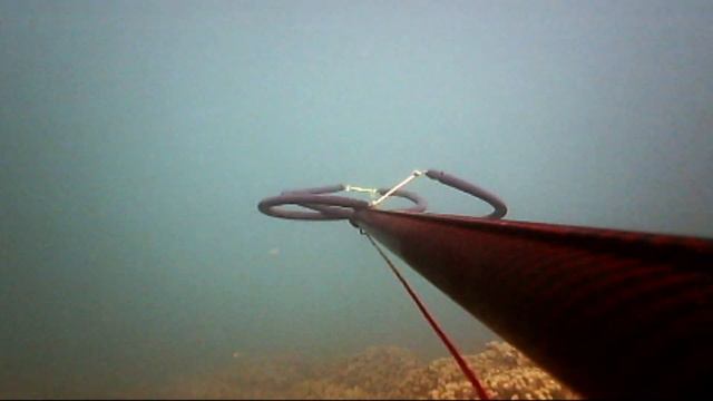 HKD 4 "Gold Fever" Spearfishing Hawaii смотреть онлайн