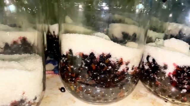 Компот из черной смородины с апельсинами/ закрутка/ vlog@roksi6564 ✅ смотреть онлайн