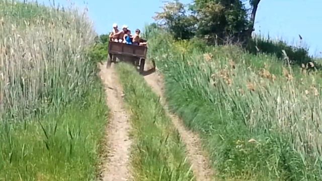 Во Дед выдаёт на мотороллере!!!The old men carries children up the streep slope смотреть онлайн