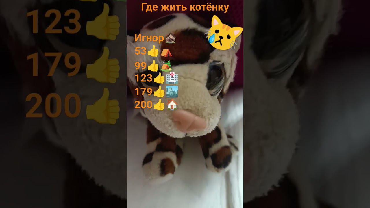 9 октября 2023 г. смотреть онлайн