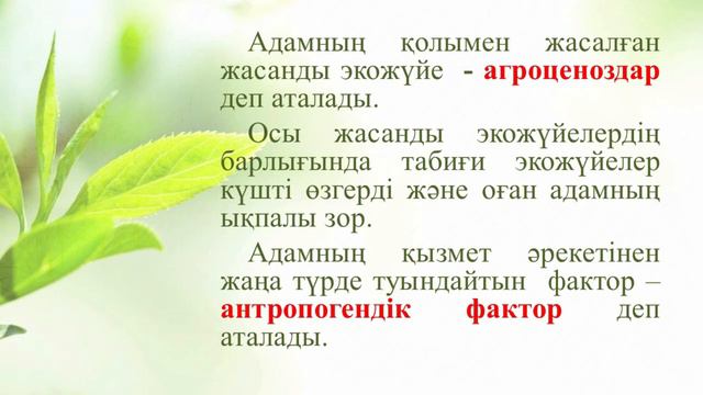 I тоқсан Биология, 7 сынып, 4 сабақ смотреть онлайн