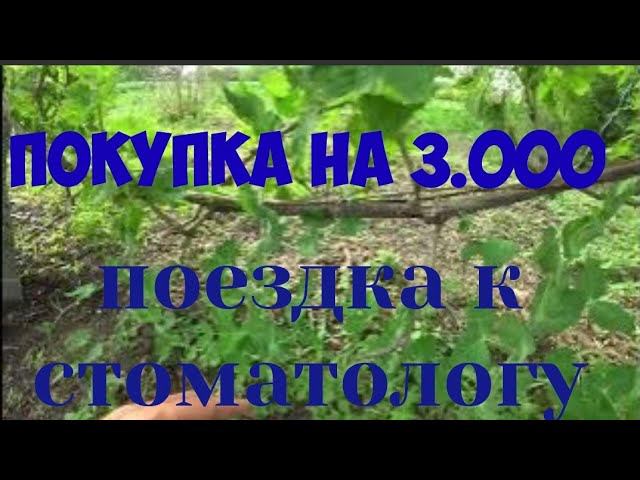 VLOG | УДАЛЕНИЕ МОЛОЧНЫХ ЗУБОВ/ОБЗОР ПОКУПОК/НАШ ОГОРОД. смотреть онлайн