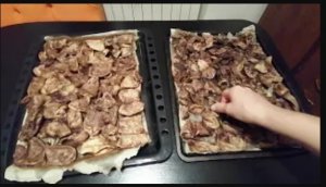 Сушёное легкое. Вкусняшка для собак и кошек своими руками