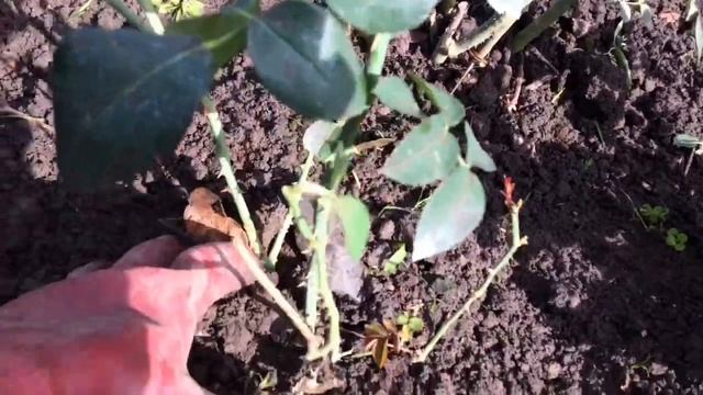 Строительный Компас