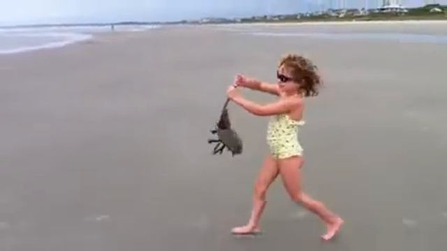 Lila catching a horseshoe crab in Kiawah Island смотреть онлайн