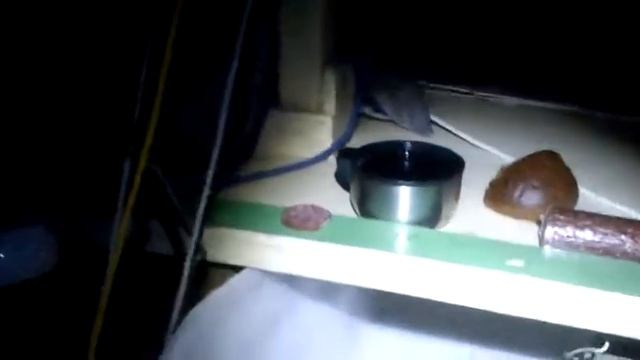 20190928 1922 290 стемнело я под тентом в лодке. Вполне неплохо. смотреть онлайн