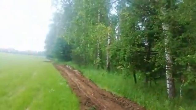 Вспашка вдоль лесных массивов, снт, дпн с трактором с лесным плугом по цене 20 000 в один проход смотреть онлайн